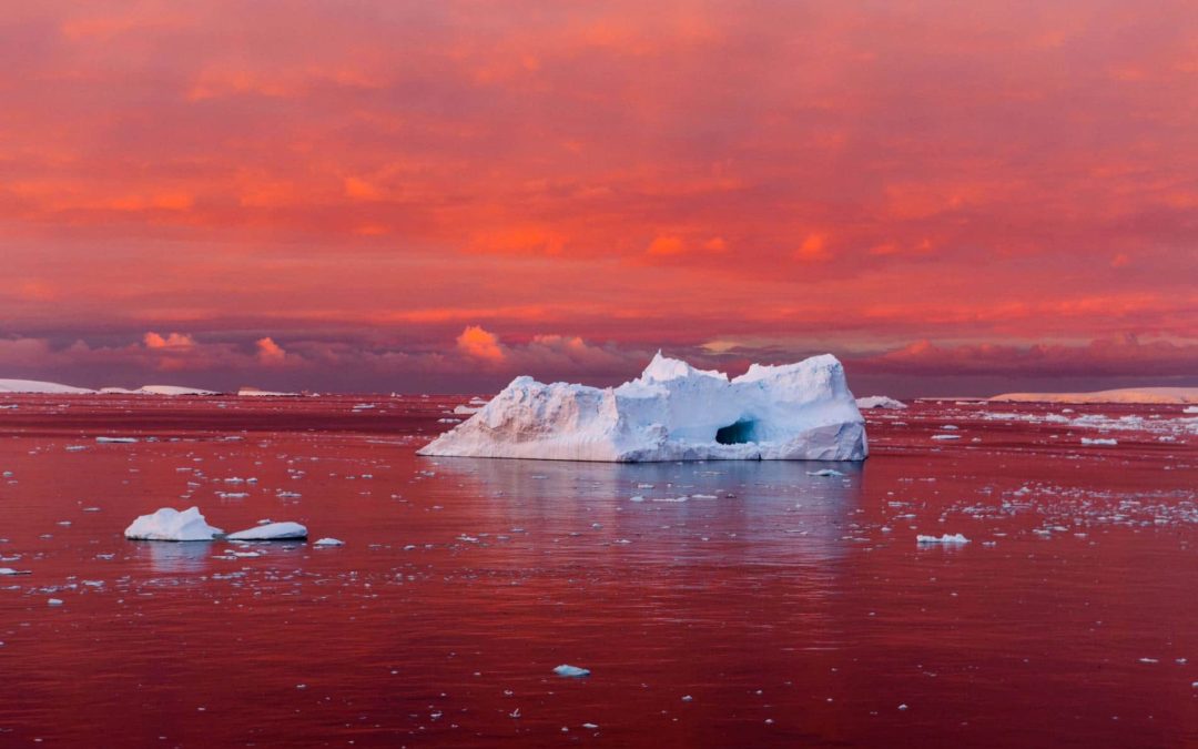 Antarctica Is Melting, and Giant Ice Cracks Are Just the Start