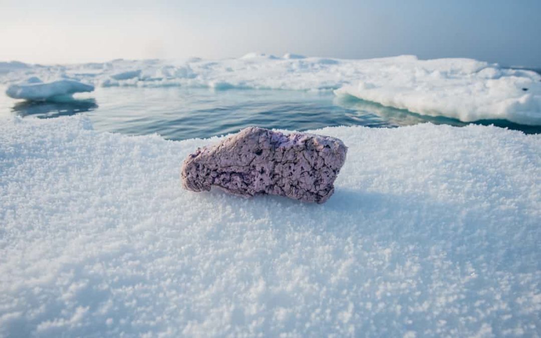 How did that get there? Plastic chunks on Arctic ice show how far pollution has spread