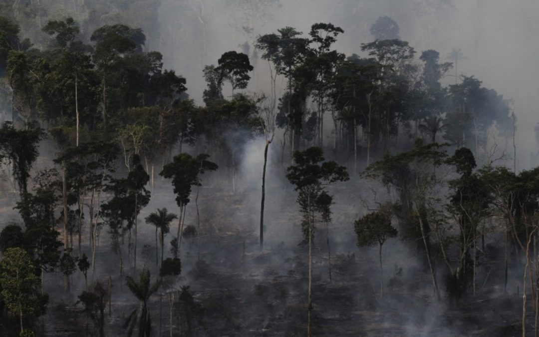Tropical forests used to protect us from climate change. Now, scientists say, they’re making it worse