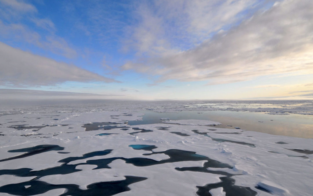 Alien Waters: Neighboring Seas Are Flowing into a Warming Arctic Ocean