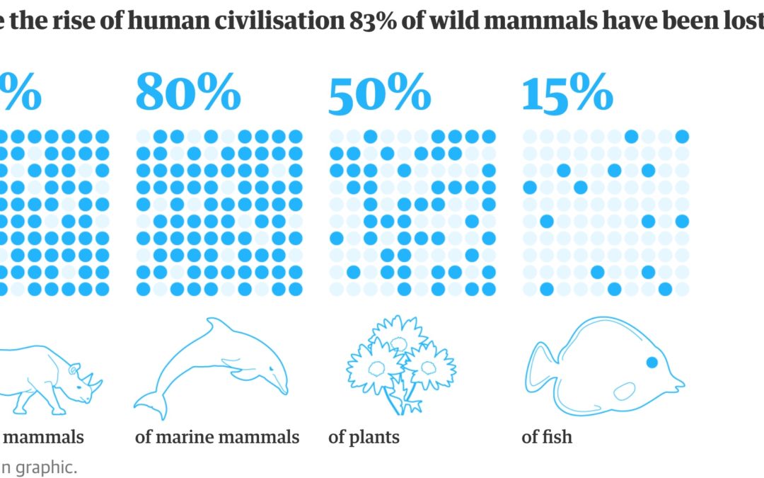 Humans just 0.01% of all life but have destroyed 83% of wild mammals