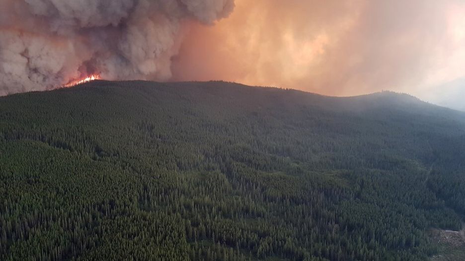 Canada’s British Columbia wildfires prompt state of emergency