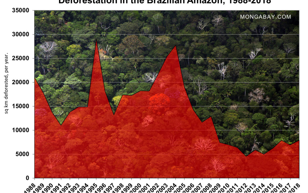 Amazon deforestation at highest level in 10 years, says Brazil