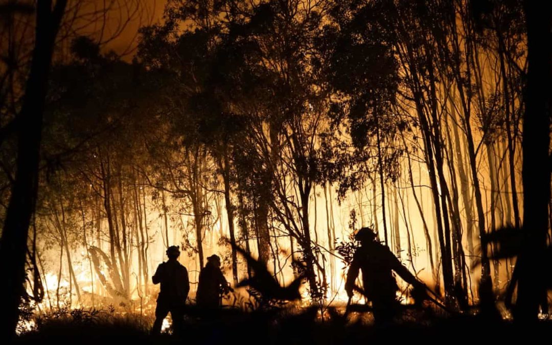 ‘Like opening a fan oven’: Australia’s rainforest threatened by bushfires
