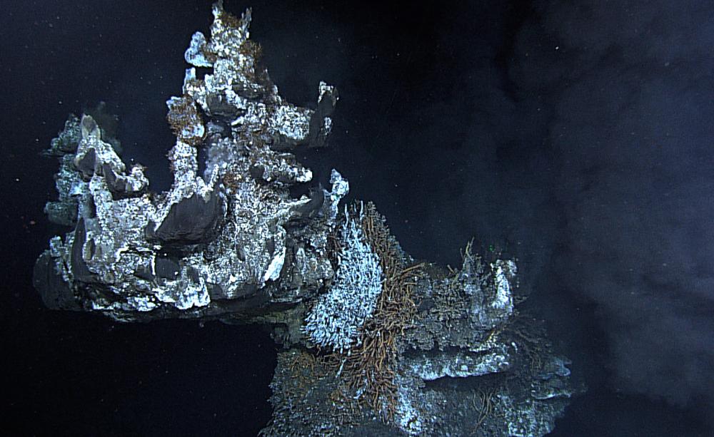 Deep-sea ecosystems under threat from an emerging ocean industry
