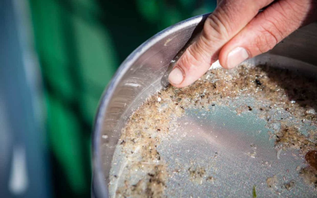 Microplastic pollution revealed ‘absolutely everywhere’ by new research
