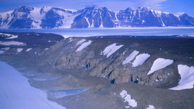 Climate change: Warning from ‘Antarctica’s last forests’