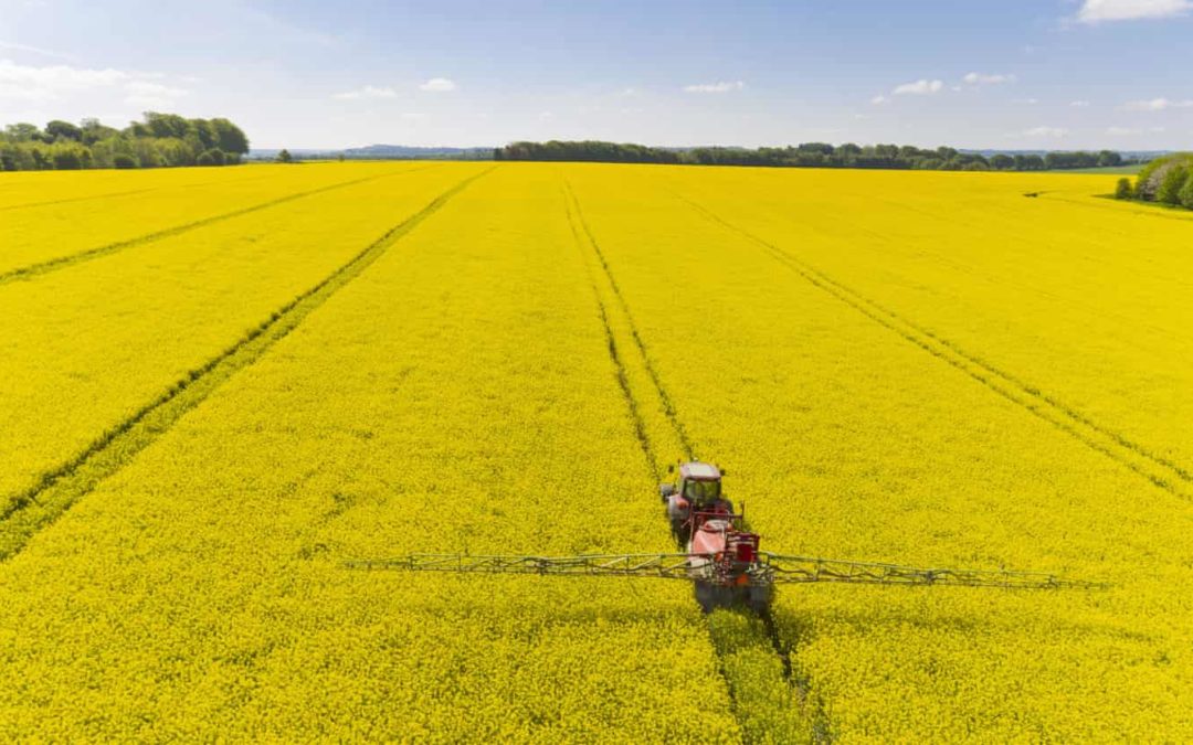 UK accused of ‘silently eroding’ EU pesticide rules in Brexit laws