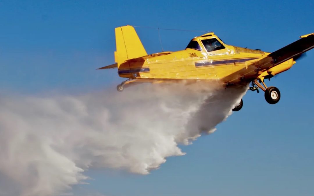 Trump EPA OKs ‘Emergency’ Use of Bee-Killing Pesticide on 13.9 Million Acres