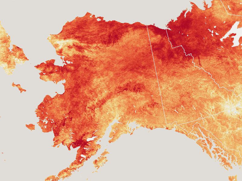 Record-Breaking Heat in Alaska Wreaks Havoc on Communities and Ecosystems