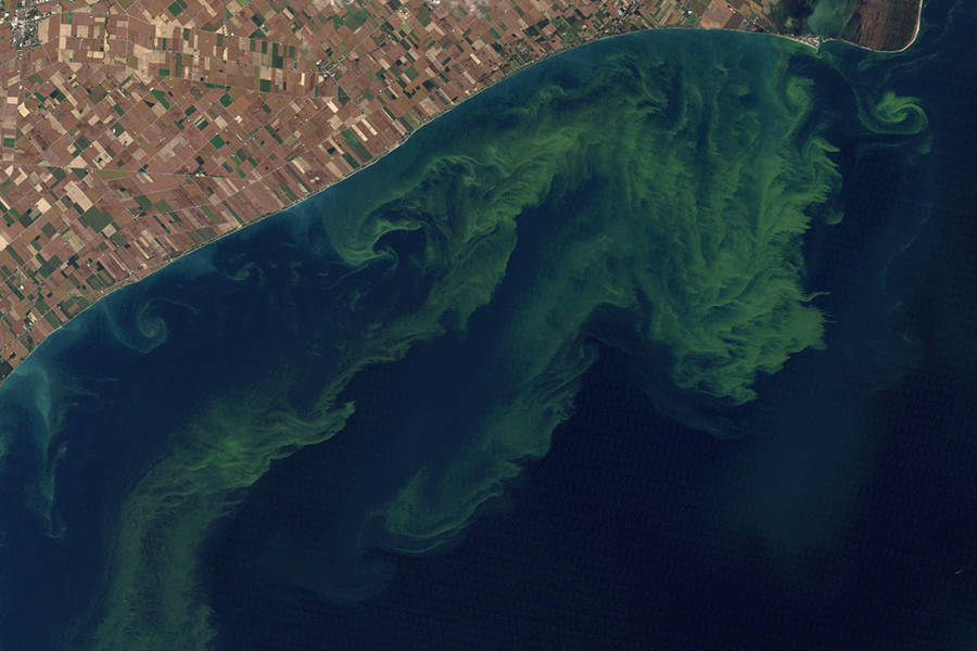 Algae Blooms Fed by Farm Flooding Add to Midwest’s Climate Woes