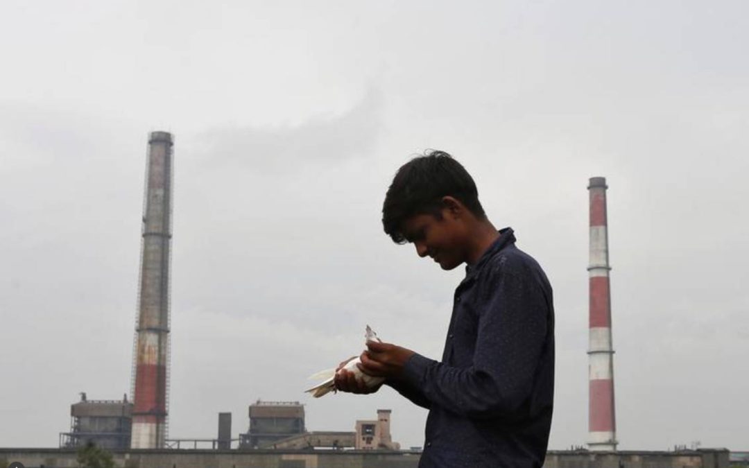 India expects coal-fired power capacity to grow 22% in 3 years