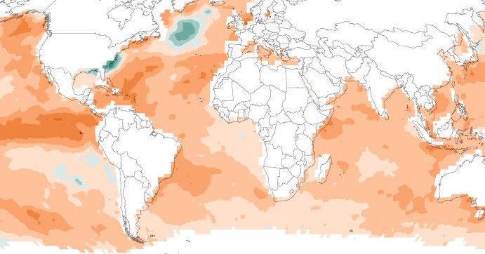 Surprise! Unexpected ocean heat waves are becoming the norm