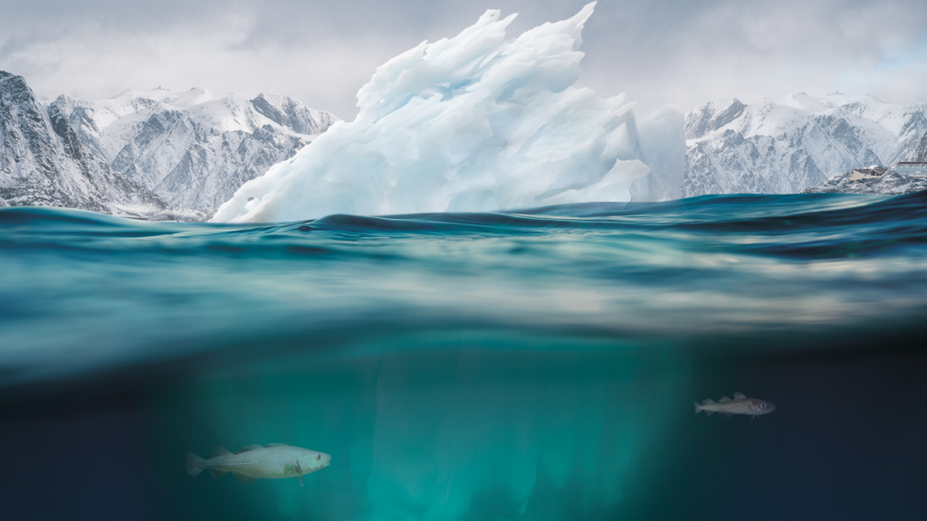 Choices made now are critical for the future of our ocean and cryosphere