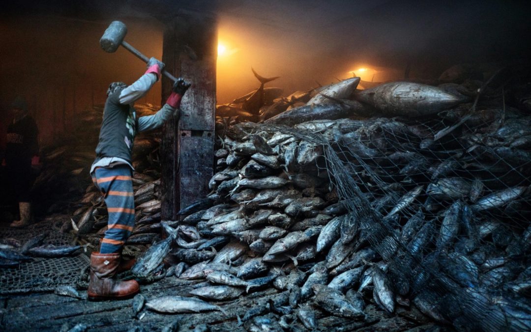 The sea is running out of fish, despite nations’ pledges to stop it