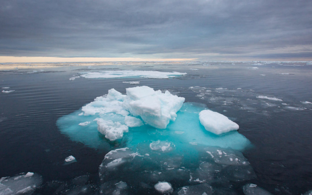 Why Rising Acidification Poses a Special Peril for Warming Arctic Waters