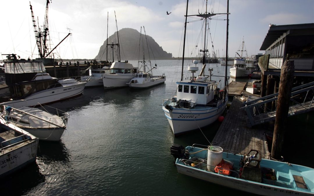 The world’s oceans are acidifying — but it’s happening twice as fast off California
