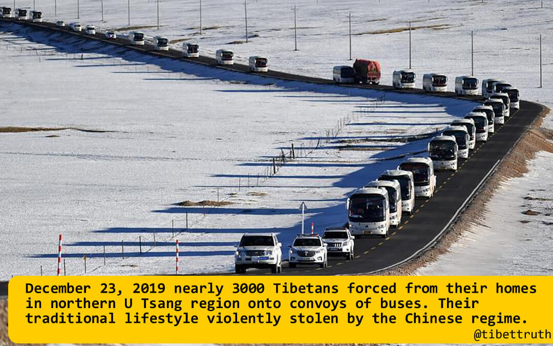 Tibetan Herders Forced into Life of Dependency and Misery in Southern Tibet