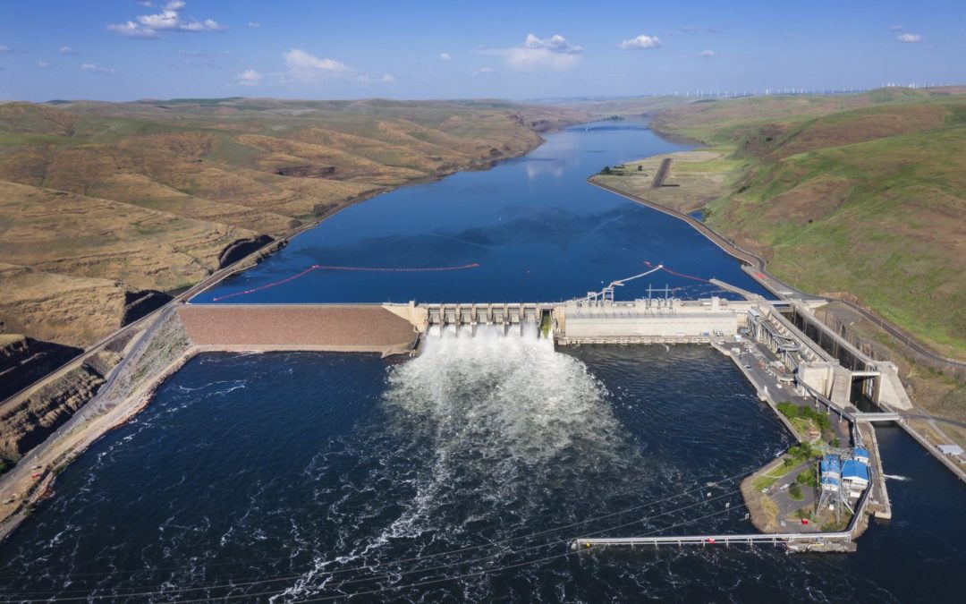 Feds reject removal of 4 Lower Snake River dams in key report