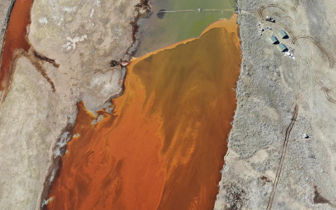 Oil from the Norilsk spill