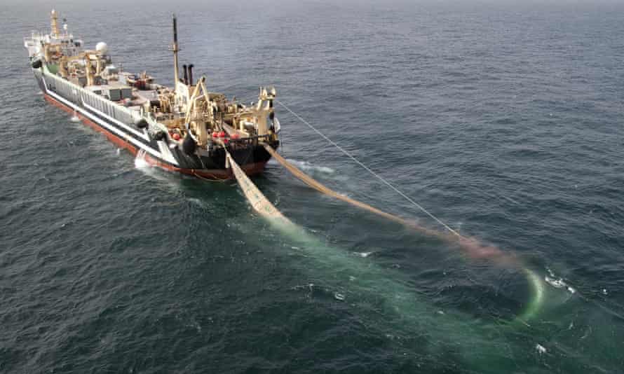 Supertrawlers ‘making a mockery’ of UK’s protected seas