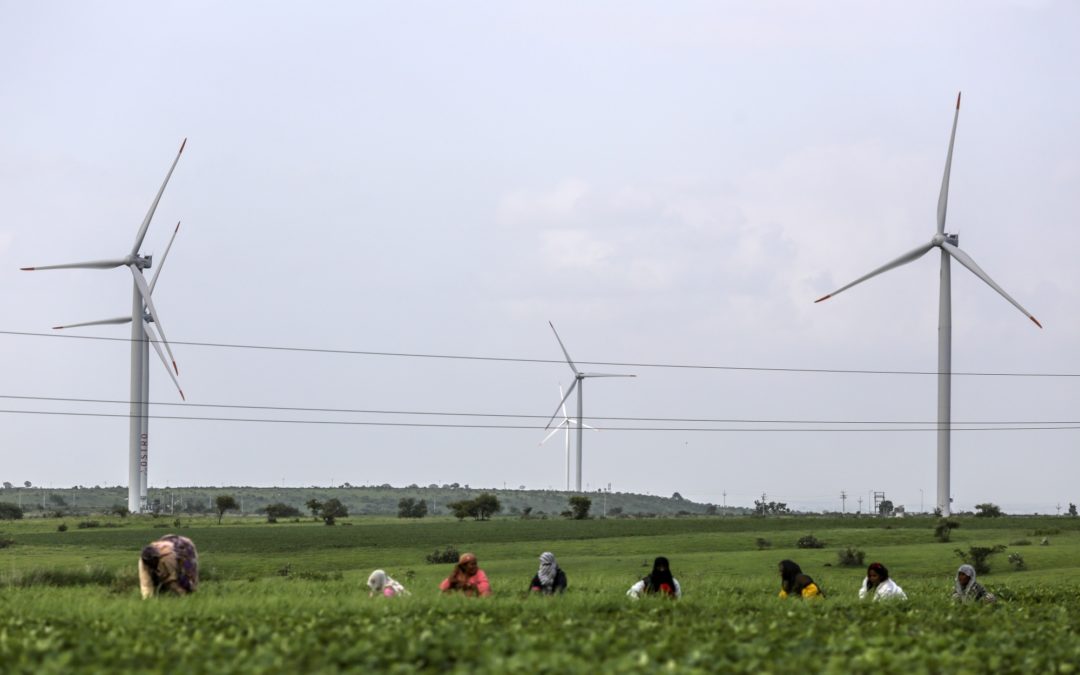 Wind turbines tower over agriculture workers