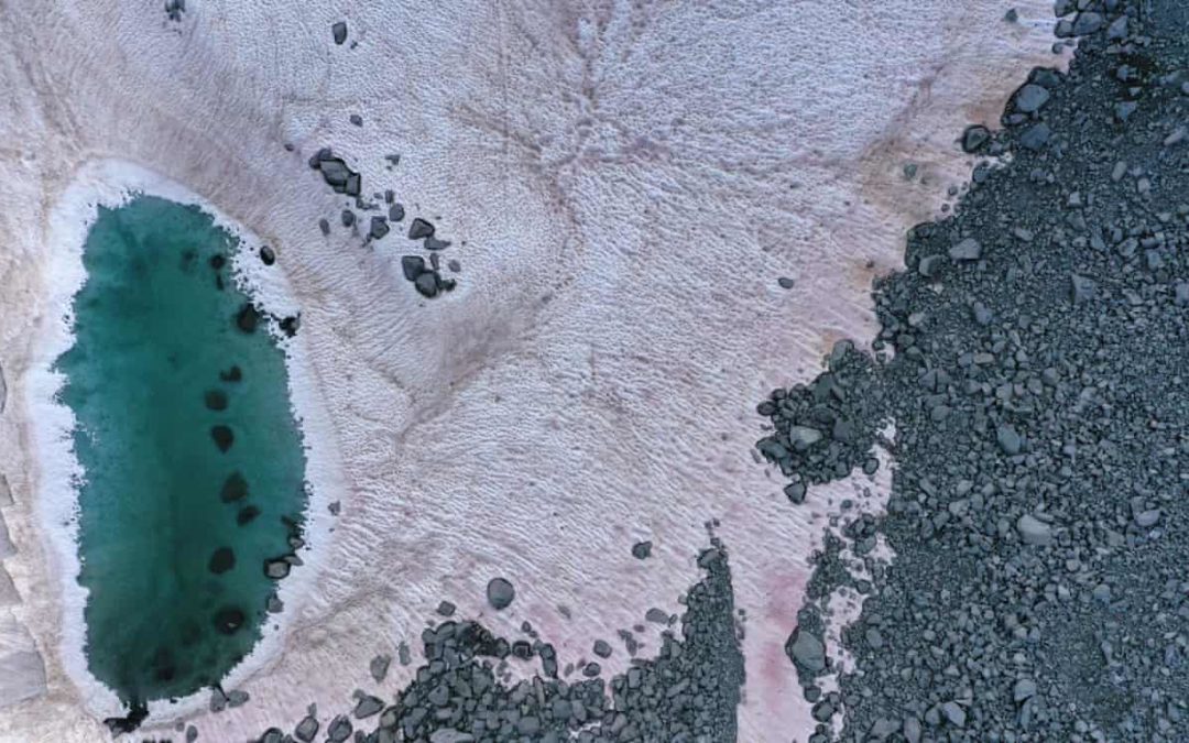 Algae turn Italian Alps pink, prompting concerns over melting