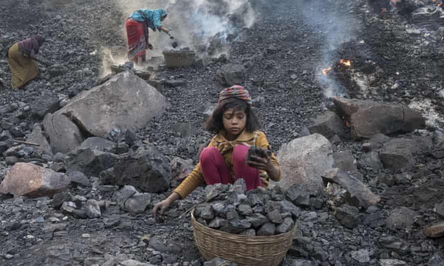 India plans to fell ancient forest to create 40 new coalfields