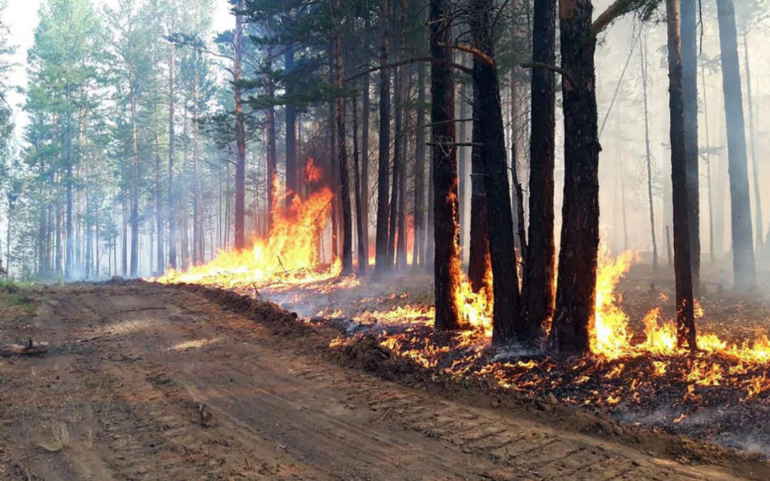 Destructive wildfires in Siberia