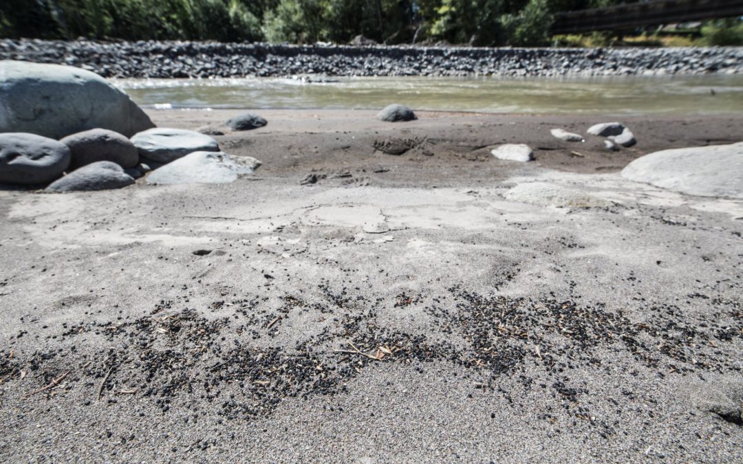 Rubber debris litters miles of Puyallup River after artificial turf was used in dam project without permit