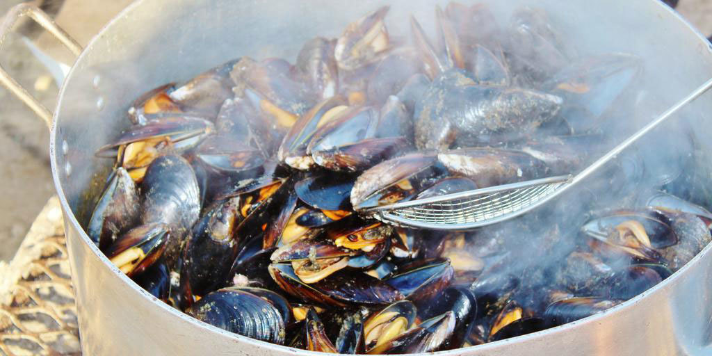 Mussels Sold in Grocery Stores Around the World Contain Microplastic Particles