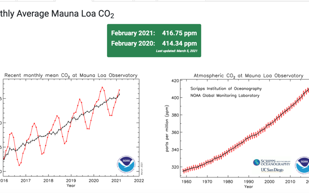 Monthly avg CO2