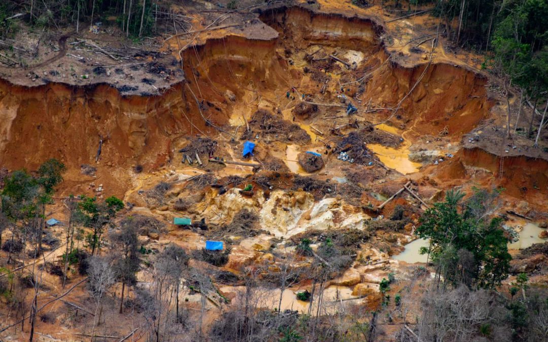 Brazil aerial photos show miners’ devastation of indigenous people’s land