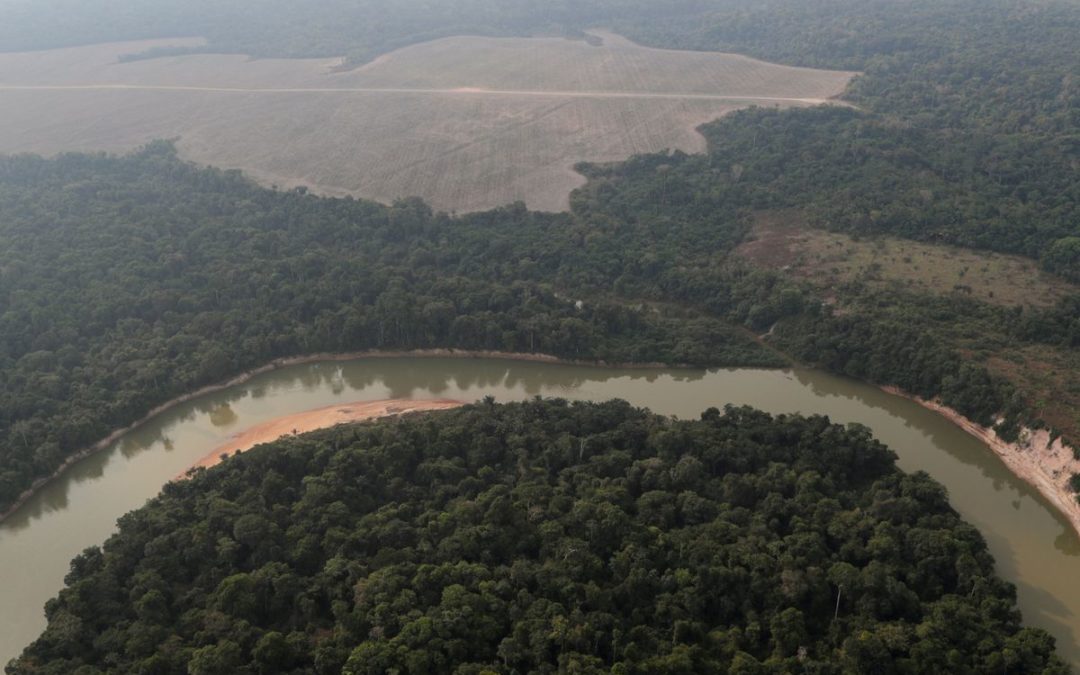 Brazil’s Amazon deforestation surges 67% in May as Bolsonaro pledges fall flat