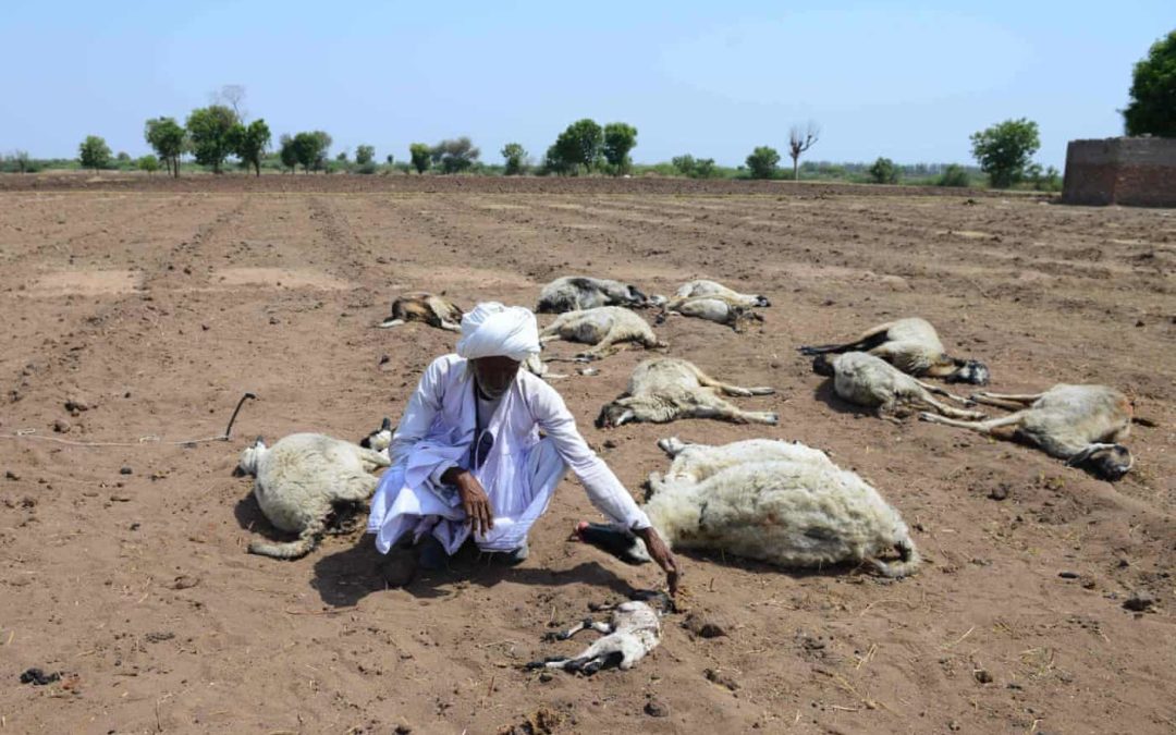 Indian villages lie empty as drought forces thousands to flee