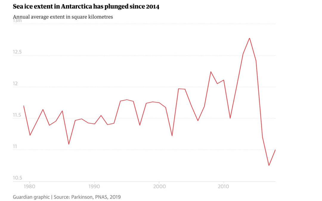 ‘Precipitous’ fall in Antarctic sea ice since 2014 revealed