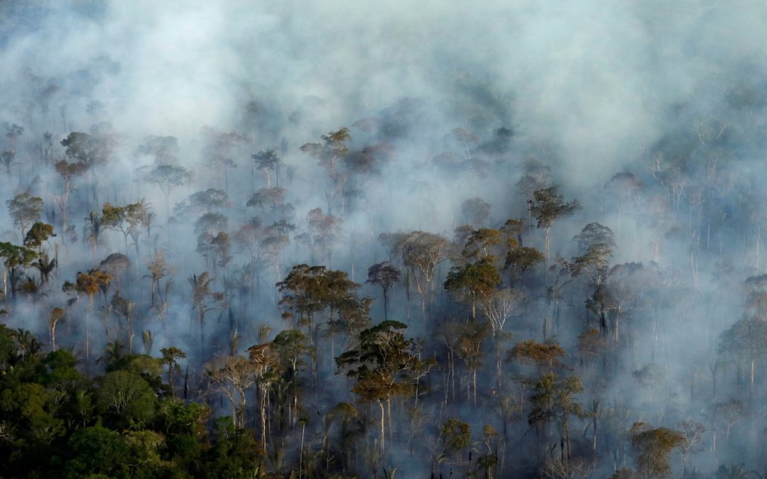 Climate emissions from tropical forest damage ‘underestimated by a factor of six’