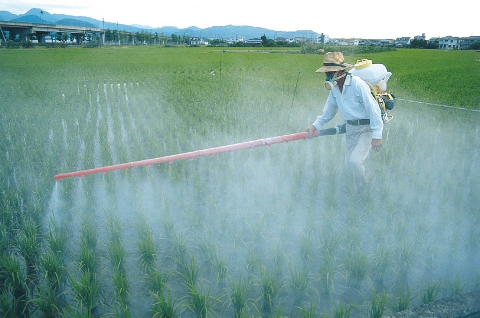 Spraying poisonous herbicides on crops