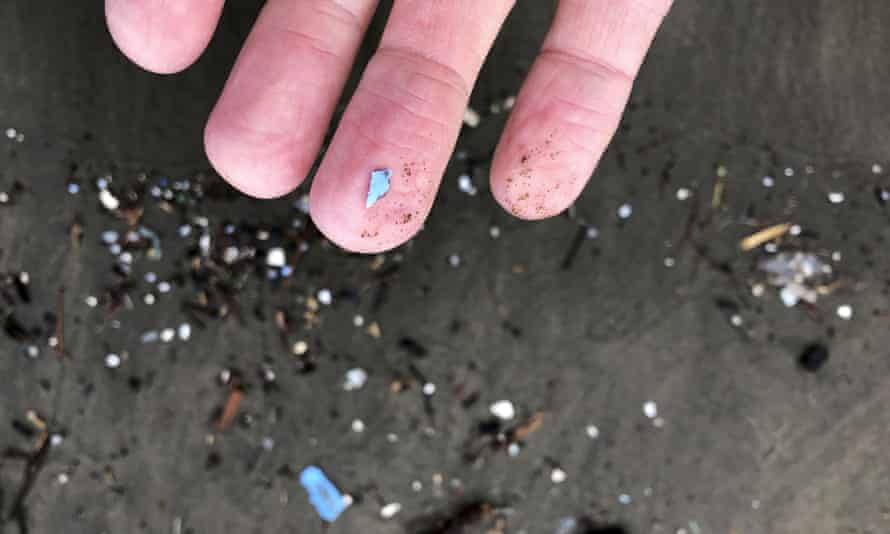 Revealed: more than 1,000 metric tons of microplastics rain down on US parks and wilderness