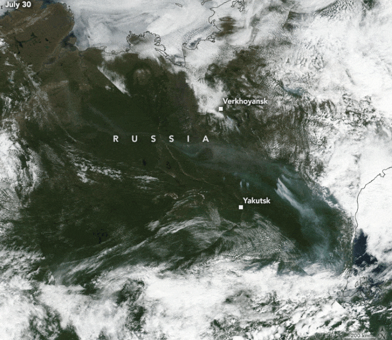 NASA/NOAA Satellites Observe Surprisingly Rapid Increase in Scale and Intensity of Fires in Siberia