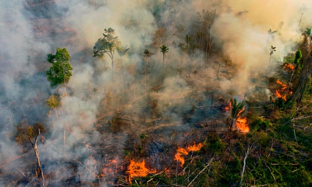 Brazil’s Amazon rainforest suffers worst fires in a decade