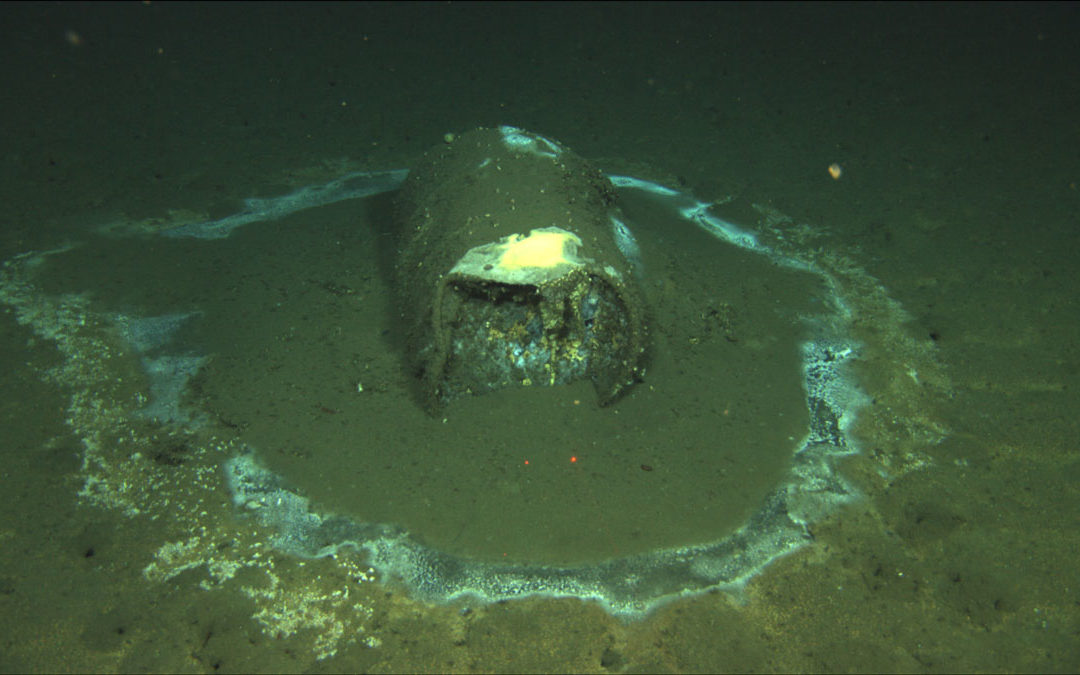 Barrel of DDT on the ocean floor